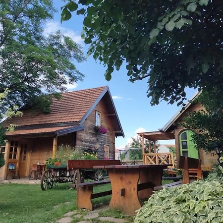 Apartments Vila Selena - Golija Rudno Екстериор снимка