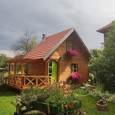Apartments Vila Selena - Golija Rudno Екстериор снимка