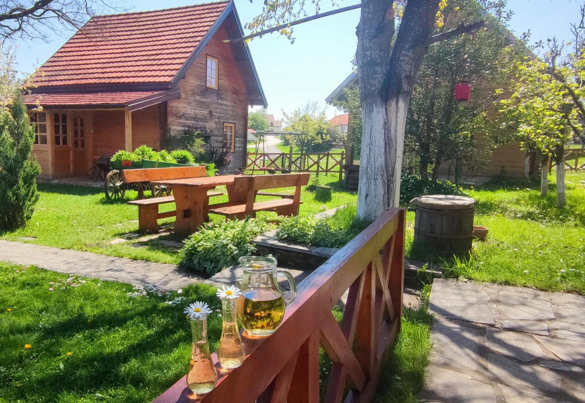 Apartments Vila Selena - Golija Rudno Екстериор снимка