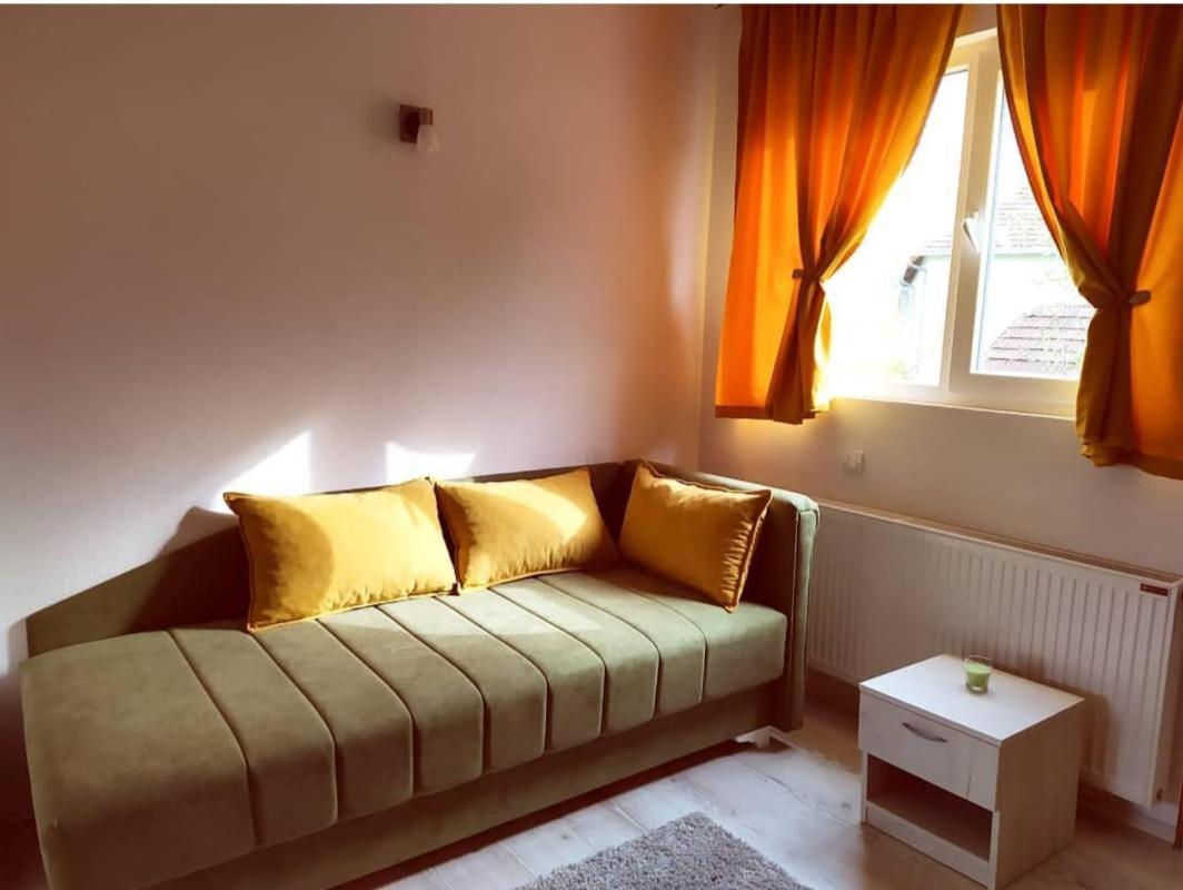 Apartments Vila Selena - Golija Rudno Екстериор снимка