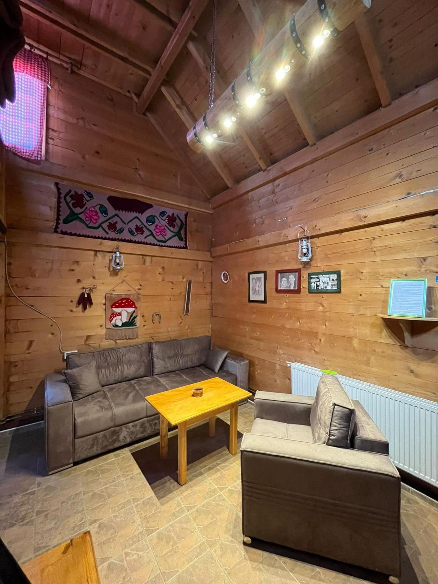 Apartments Vila Selena - Golija Rudno Екстериор снимка