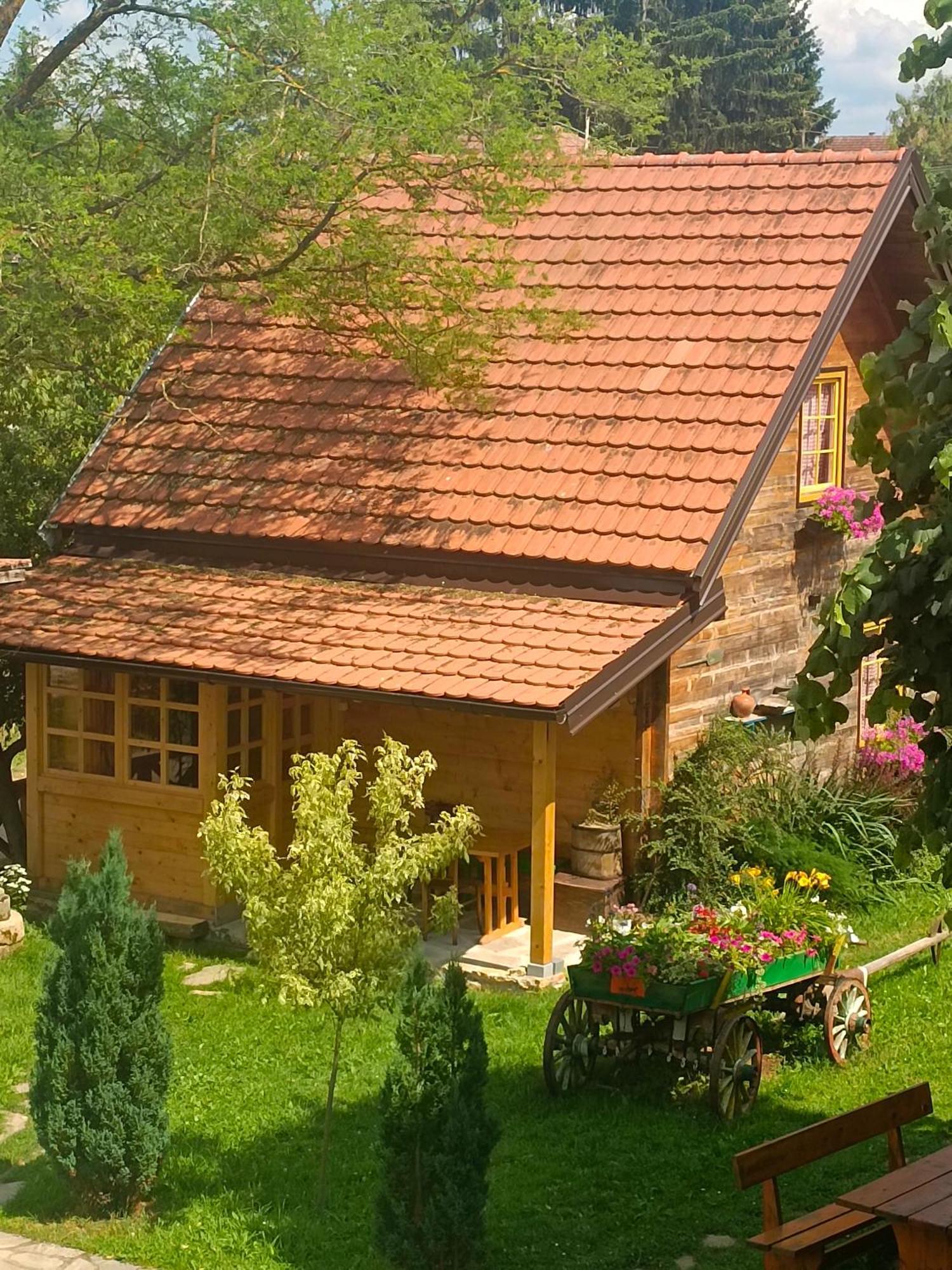 Apartments Vila Selena - Golija Rudno Екстериор снимка