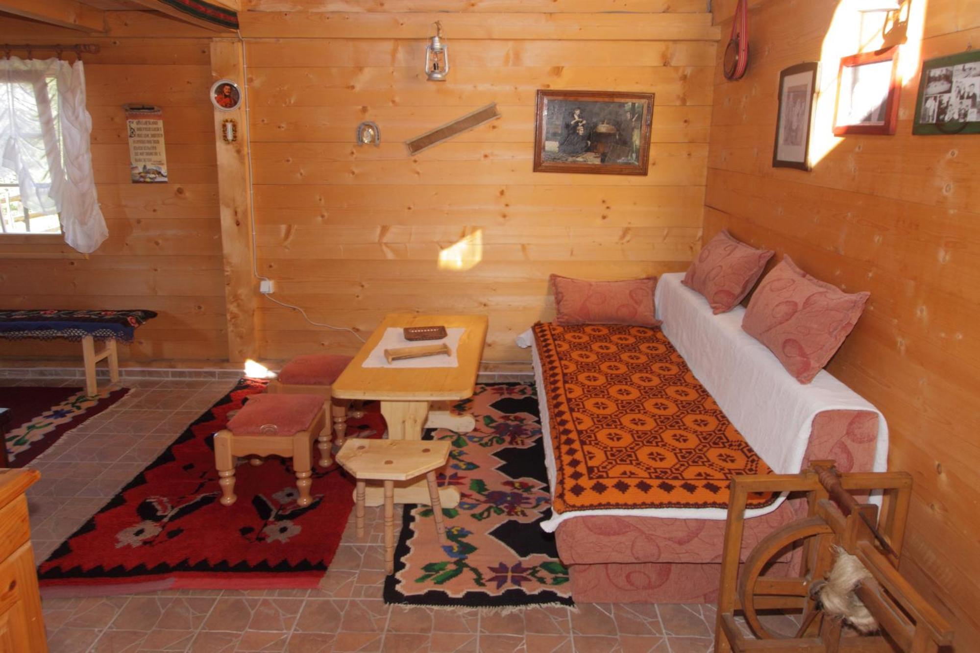 Apartments Vila Selena - Golija Rudno Стая снимка
