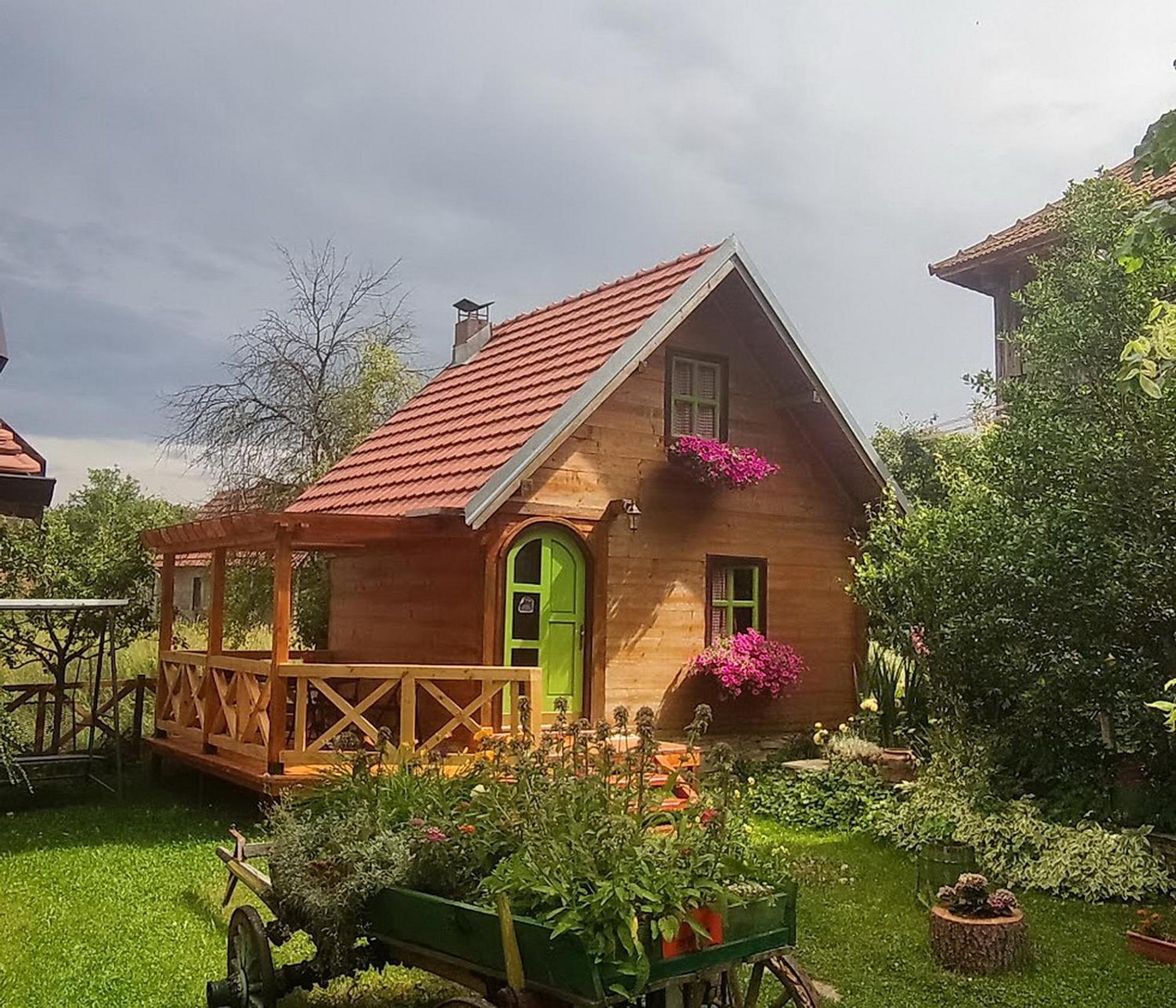 Apartments Vila Selena - Golija Rudno Екстериор снимка
