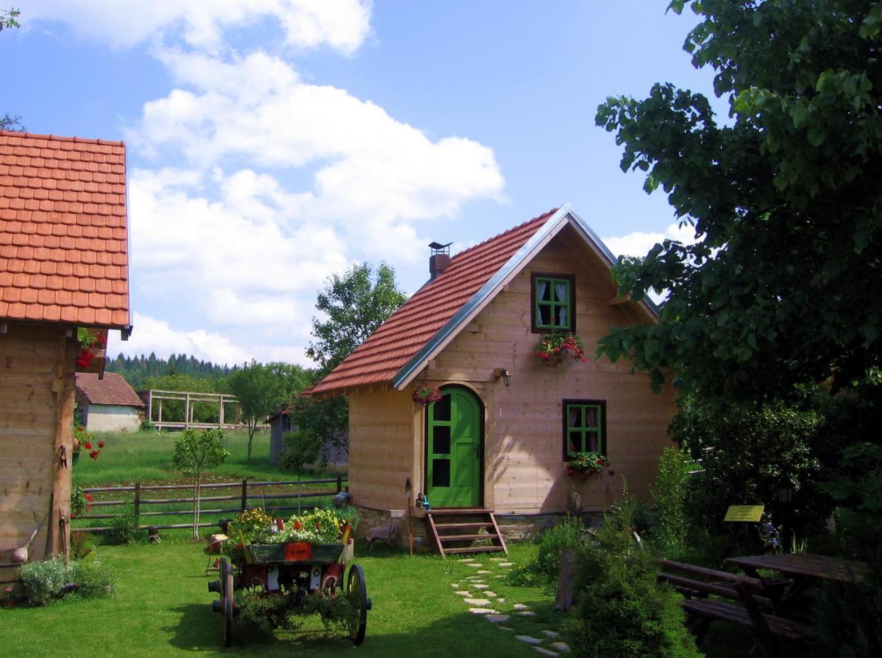 Apartments Vila Selena - Golija Rudno Екстериор снимка