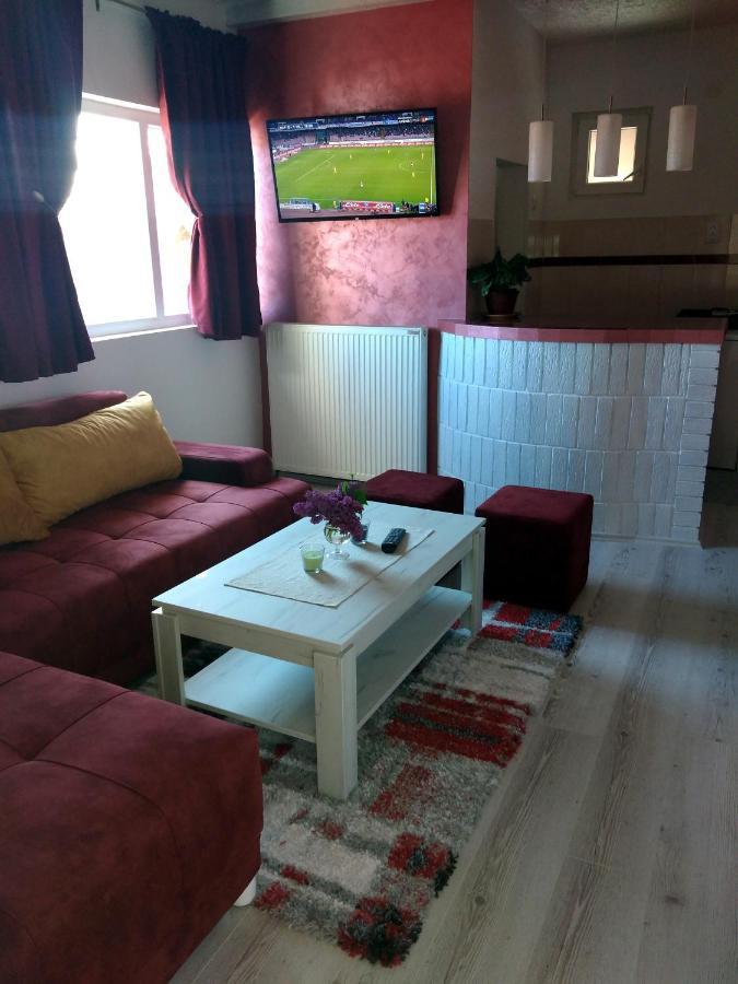 Apartments Vila Selena - Golija Rudno Екстериор снимка
