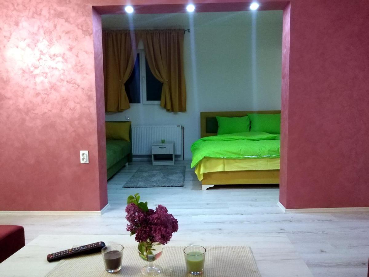 Apartments Vila Selena - Golija Rudno Екстериор снимка