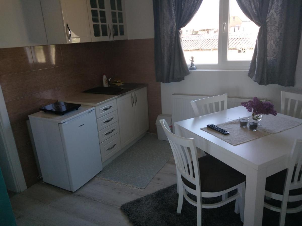 Apartments Vila Selena - Golija Rudno Екстериор снимка