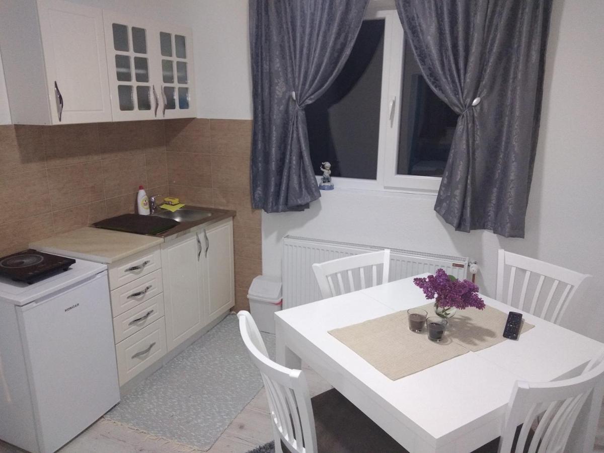 Apartments Vila Selena - Golija Rudno Екстериор снимка