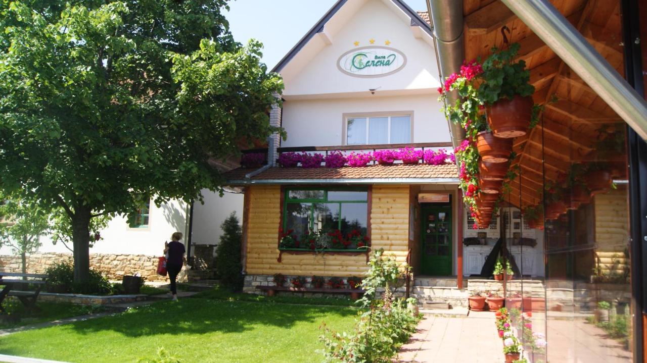 Apartments Vila Selena - Golija Rudno Екстериор снимка